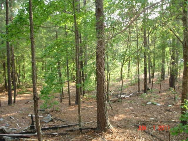 107 Bryan Ln, Davisboro, GA 31018 photo 1