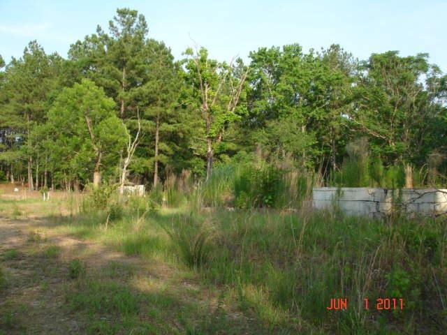 107 Bryan Ln, Davisboro, GA 31018 photo 4