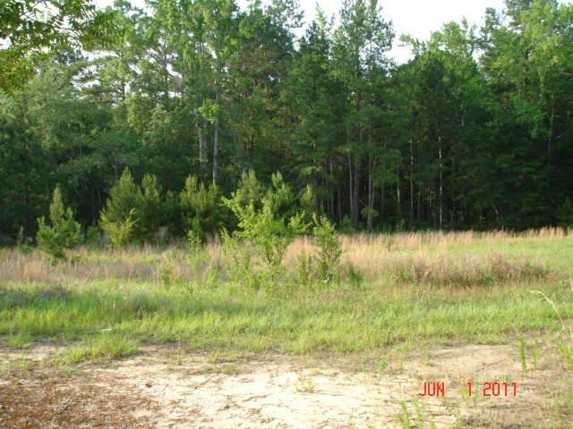 107 Bryan Ln, Davisboro, GA 31018 photo 2