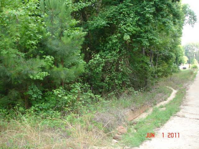 107 Bryan Ln, Davisboro, GA 31018 photo 5