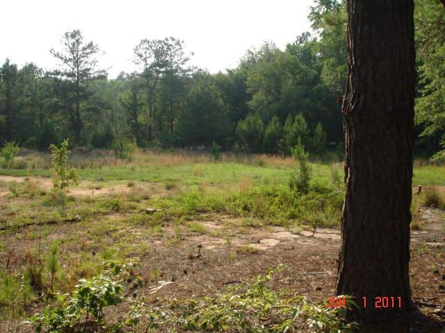 107 Bryan Ln, Davisboro, GA 31018 photo 6