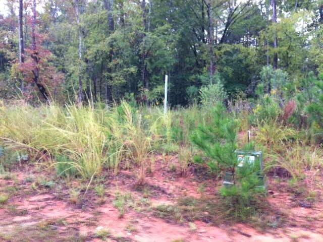 105 Misty Grove Ln, Eatonton, GA 31024 photo 3
