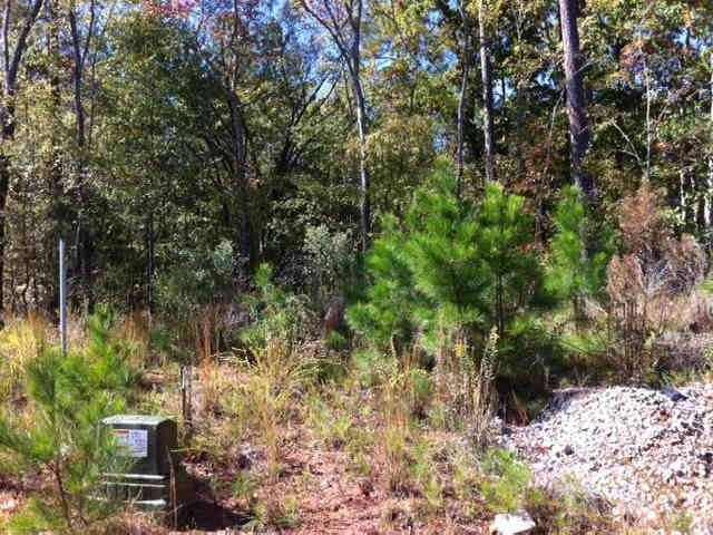  105 Misty Grove Ln, Eatonton, GA 31024 photo 4