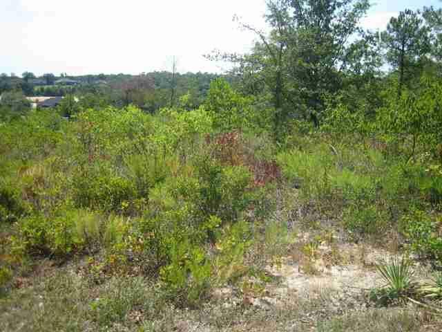 133 Mcclain Cir, Macon, GA 31216 photo 4