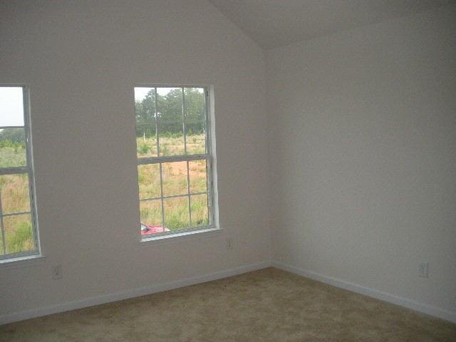 60 Silver Willow Walk, Covington, GA 30016 photo 14