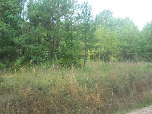 451 Fifth Rd, Haddock, GA 31033 photo 3