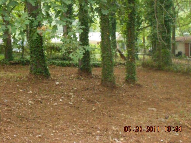4493 Ryan Rd, Conley, GA 30288 photo 3