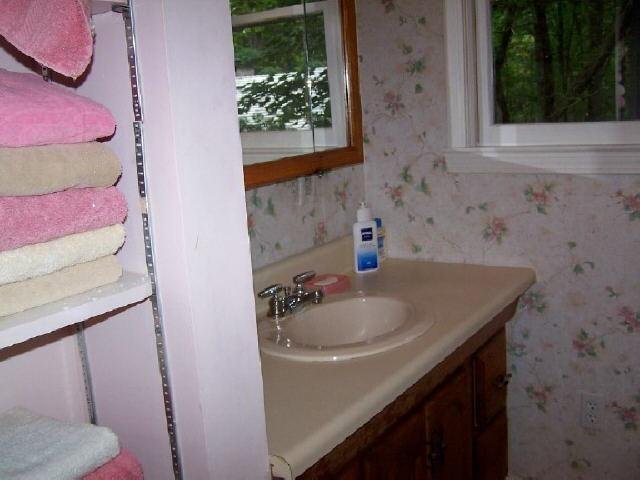 104 Saddleback Cir, Dillard, GA 30537 photo 11