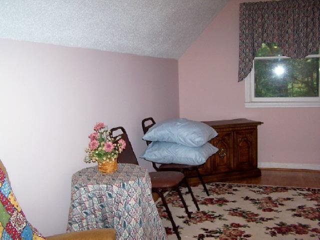 104 Saddleback Cir, Dillard, GA 30537 photo 13