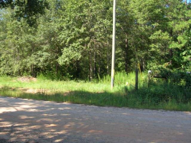 262 Poplar Dr, Brooks, GA 30205 photo 5