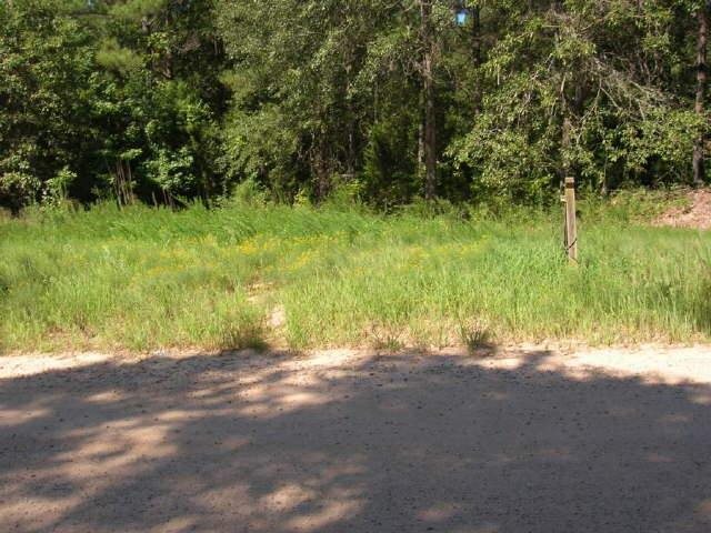 262 Poplar Dr, Brooks, GA 30205 photo 3