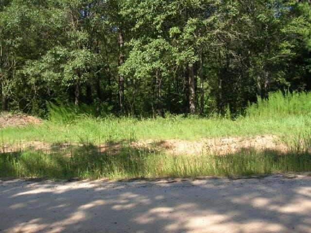 262 Poplar Dr, Brooks, GA 30205 photo 4