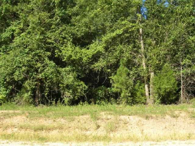 262 Poplar Dr, Brooks, GA 30205 photo 2