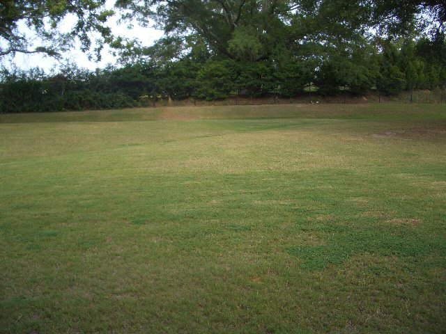 105 Traditions Ln, Hampton, GA 30228 photo 4