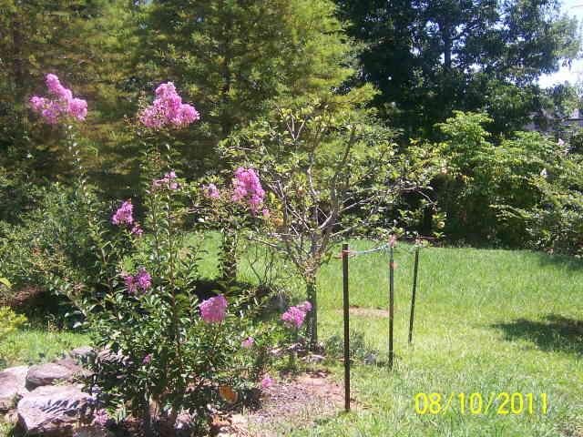 6331 Amberly Rd, Rex, GA 30273 photo 3