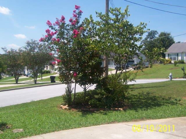6331 Amberly Rd, Rex, GA 30273 photo 4