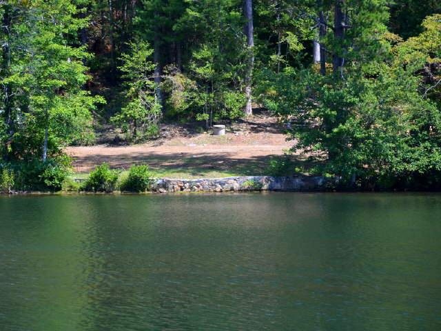 2491 E Wildcat Rd, Clarkesville, GA 30523 photo 6
