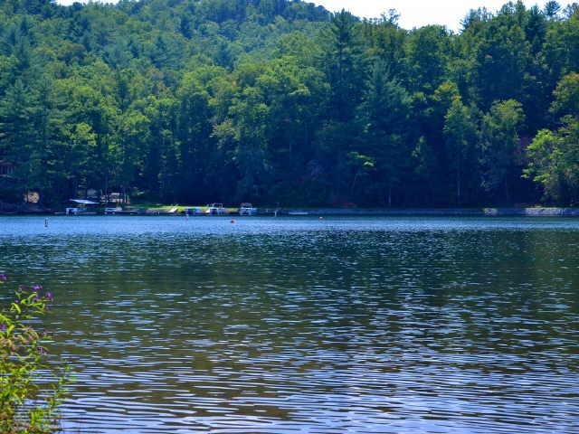 2491 E Wildcat Rd, Clarkesville, GA 30523 photo 2