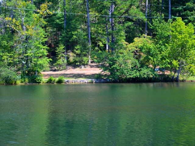 2491 E Wildcat Rd, Clarkesville, GA 30523 photo 5