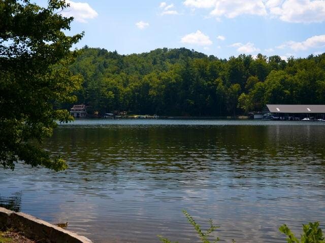 2491 E Wildcat Rd, Clarkesville, GA 30523 photo 4