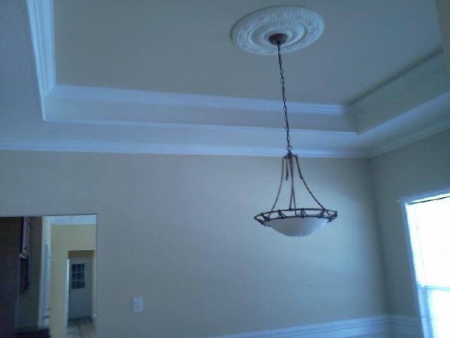 100 Collinstown Ave, Centerville, GA 31028 photo 3