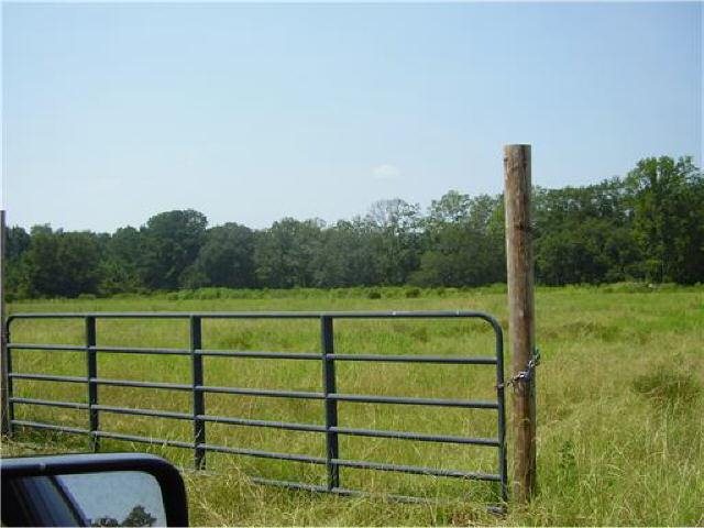 860 Herbert Kessler Rd, Rincon, GA 31326 photo 3