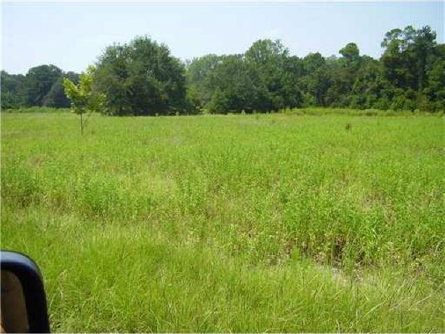 860 Herbert Kessler Rd, Rincon, GA 31326 photo 2