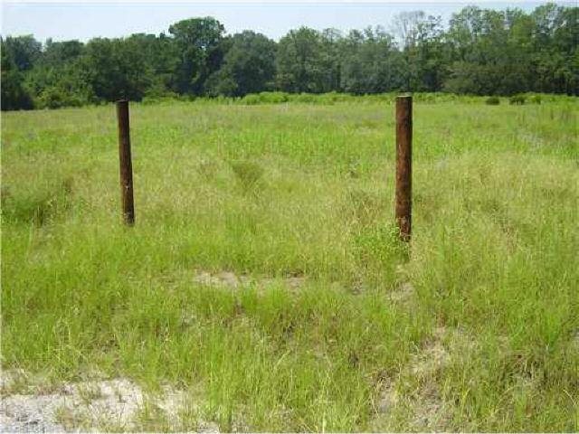 860 Herbert Kessler Rd, Rincon, GA 31326 photo 6