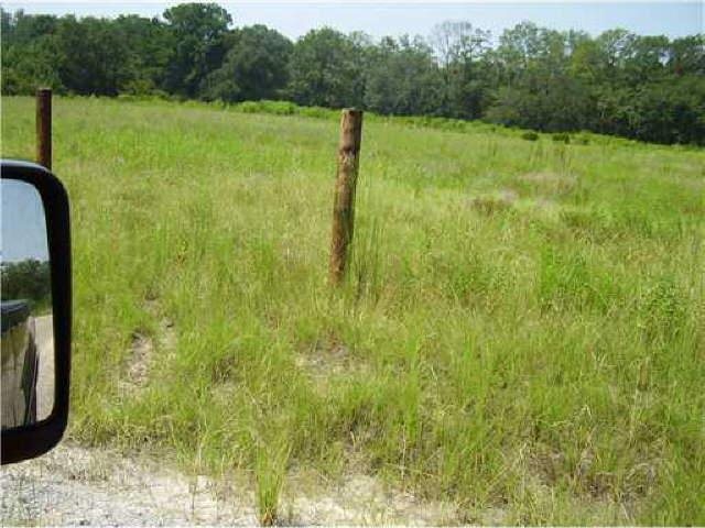 860 Herbert Kessler Rd, Rincon, GA 31326 photo 5