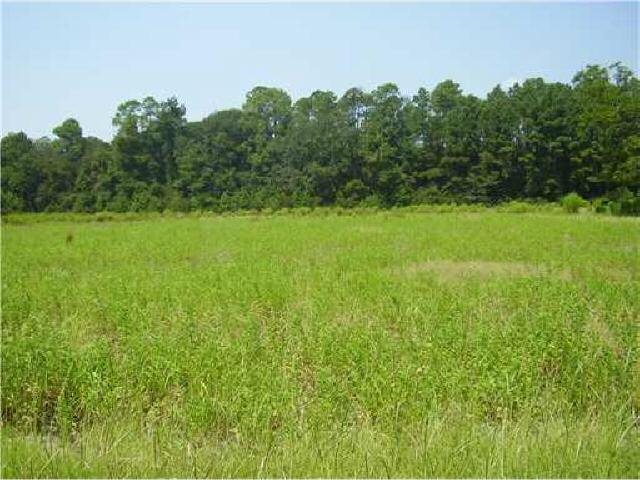 860 Herbert Kessler Rd, Rincon, GA 31326 photo 1