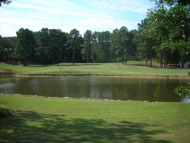9141 Willow Pt, Covington, GA 30014 photo 16