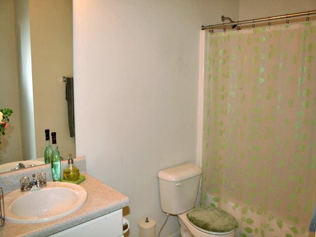 250 Windscape Dr, Covington, GA 30016 photo 13