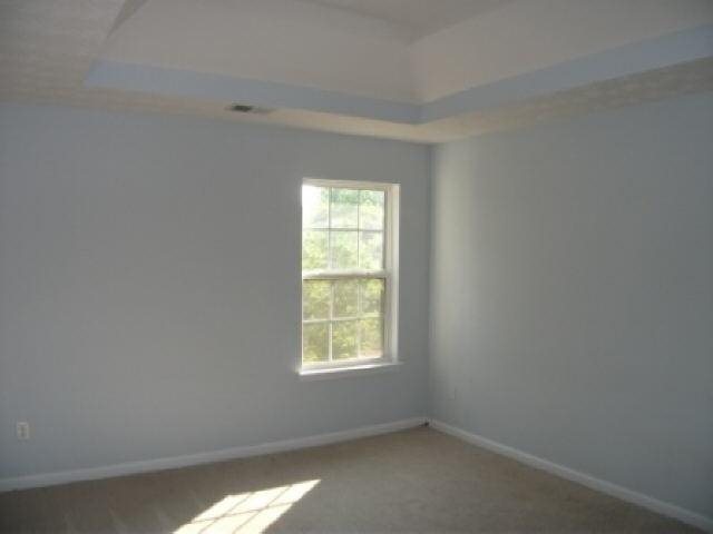 337 Cobblestone Ct, Hampton, GA 30228 photo 13