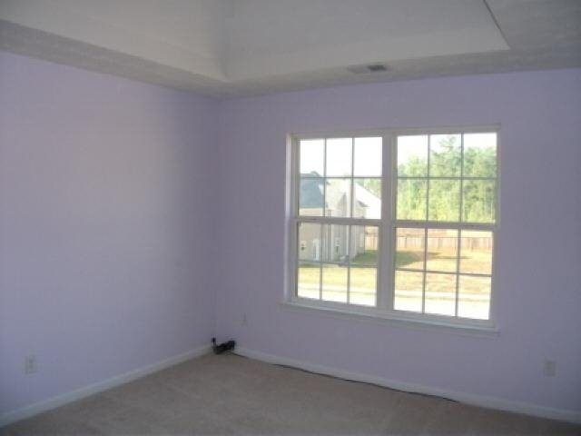 337 Cobblestone Ct, Hampton, GA 30228 photo 12