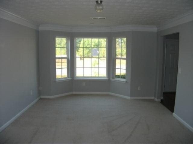 337 Cobblestone Ct, Hampton, GA 30228 photo 3