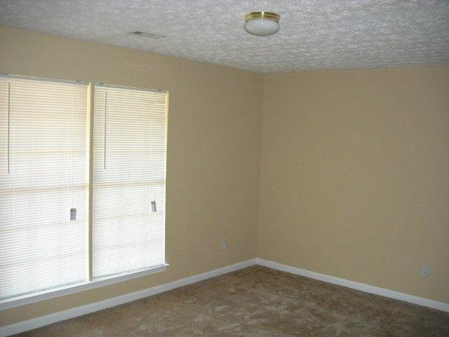 13518 Panhandle Rd, Hampton, GA 30228 photo 8