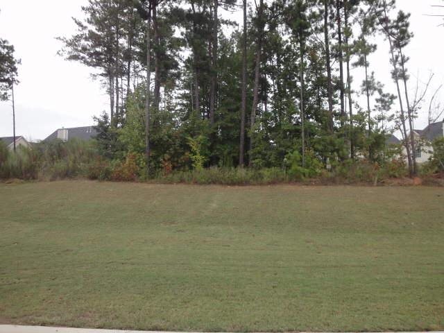 110 Blue Smoke Trl, Hampton, GA 30228 photo 14