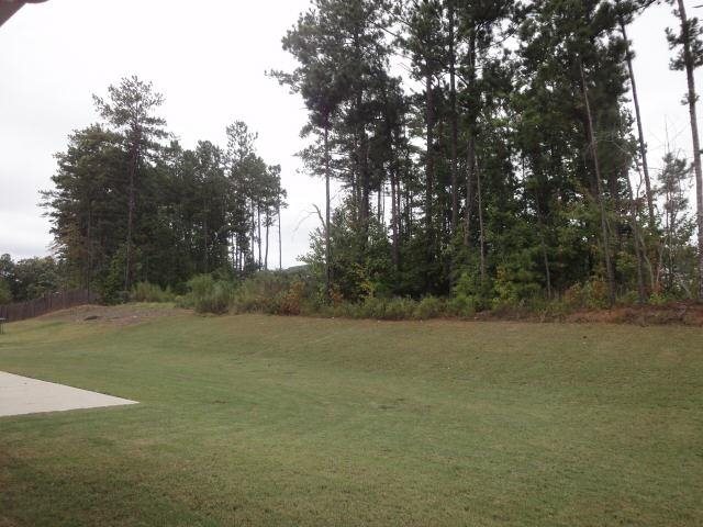 110 Blue Smoke Trl, Hampton, GA 30228 photo 15