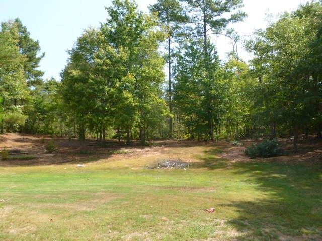 195 Macadamia Ct, Covington, GA 30016 photo 3