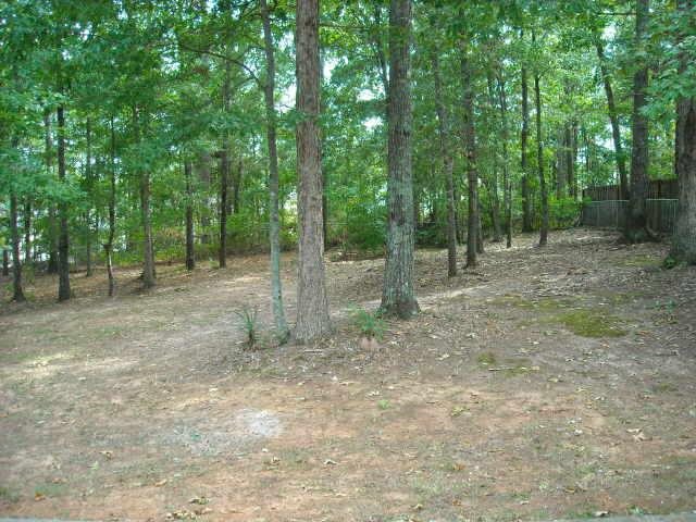 65 Beaver Dam Ln, Jersey, GA 30018 photo 9