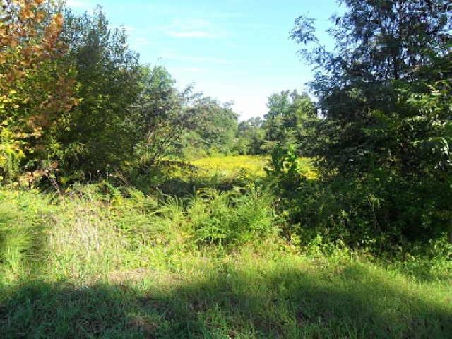 225 Lee St, Cornelia, GA 30531 photo 4