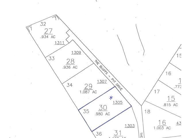 1305 The Blfs, Lagrange, GA 30240 photo 4