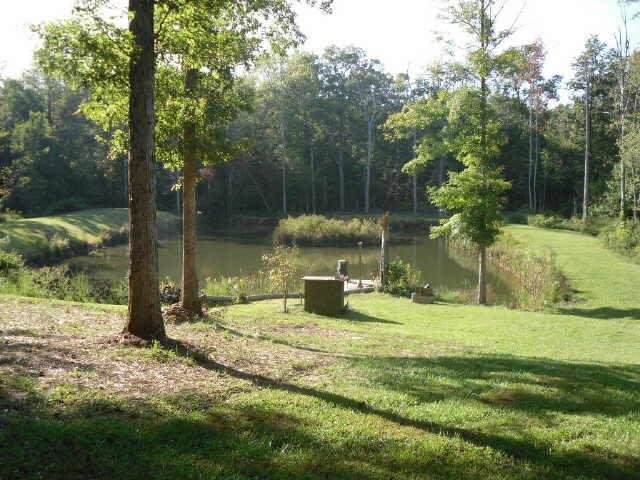 657 Harmon Rd, Temple, GA 30179 photo 6