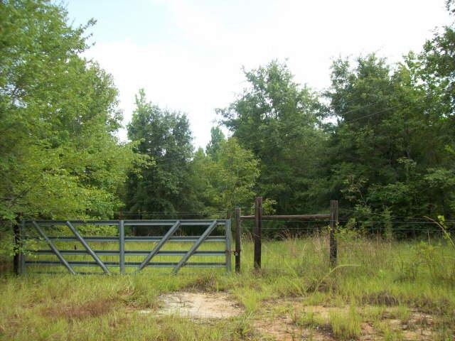 2302 Mayberry Rd, Dublin, GA 31021 photo 1
