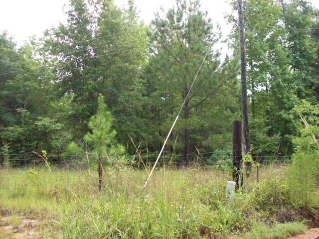 2302 Mayberry Rd, Dublin, GA 31021 photo 3