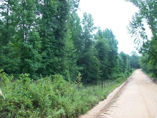 2302 Mayberry Rd, Dublin, GA 31021 photo 4