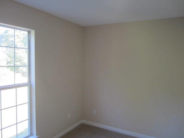 310 Cork Ln, Hampton, GA 30228 photo 9
