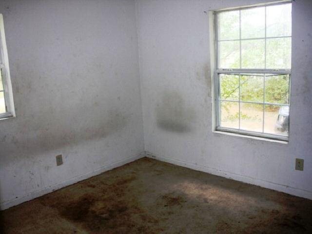 100 Spaulding, Mcrae, GA 31055 photo 7