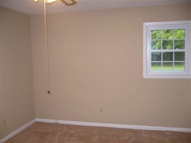 202 Cornell Dr, Warner Robins, GA 31093 photo 9