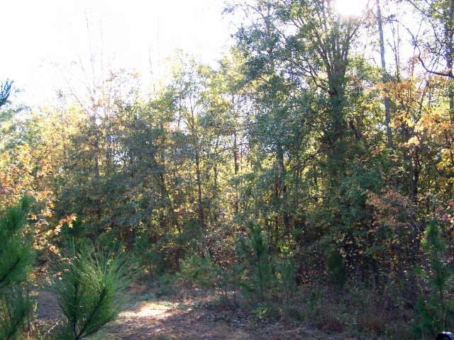 71 Tommie Rd, Lagrange, GA 30240 photo 4